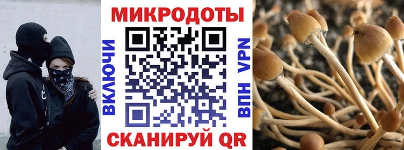 наркота  Троицк  Галлюциногенные грибы мицелий 