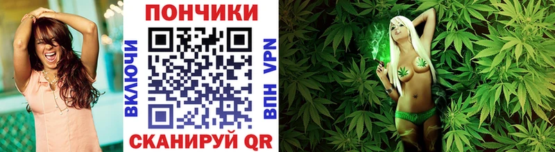 Бошки марихуана Amnesia  Троицк 